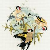 BB04 Goldfinches med