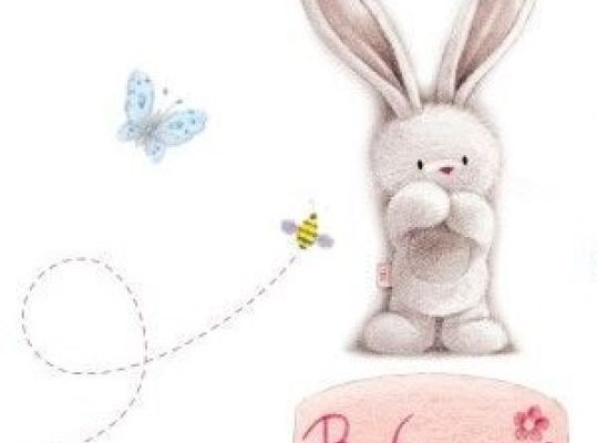 Bebunni square