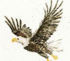 XHD109 Flight Of Freedom Medium