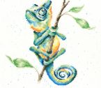 XHD93 One in Chameleon Large