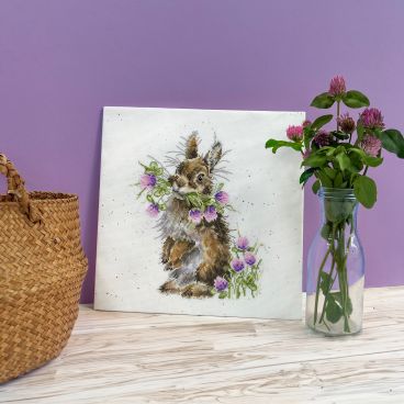 XHD139 Head Clover Heels Lifestyle