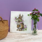 XHD139 Head Clover Heels Lifestyle