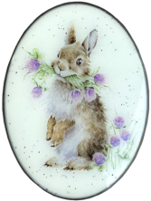 XA37 Head Clover Heels PNG