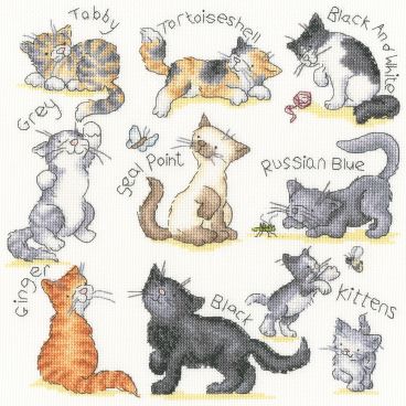 XKG15 Meow Medium