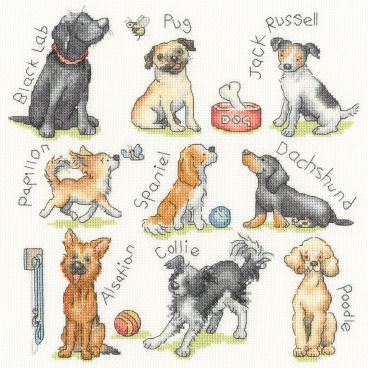 XKG16 Woof Medium