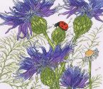 XFY8 Cornflower Garden Small