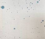 Bubble 14hpi