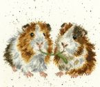 XHD19 Lettuce be Friends scanned small