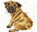 XHD11 Pug small