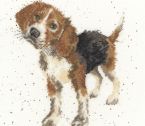 XHD12 Beagle small