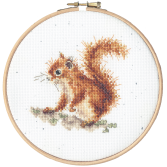 XHD116 Acorns Medium PNG