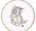 XHD118 Ladybird Medium PNG