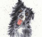 XHD10 Collie small
