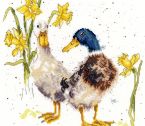 XHD6 Ducks and Daffs small