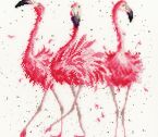 XHD24 Pink Ladies small