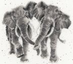 XHD27 Age is Irrelephant small