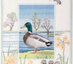 WIL8 Mallard small