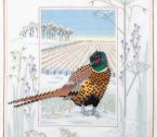 WIL7 Pheasant small