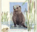 WIL6 Otter small