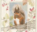 WIL4 Red Squirrel small