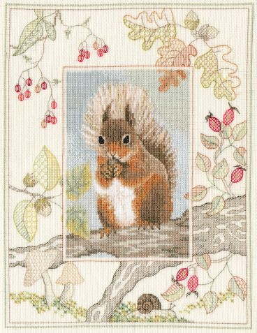 WIL4 Red Squirrel small