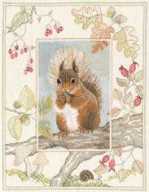 WIL4 Red Squirrel small
