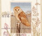 WIL3 Barn Owl small