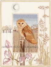 WIL3 Barn Owl small