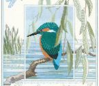 WIL1 Kingfisher small