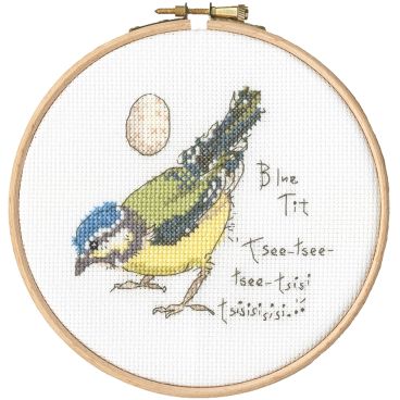 XMF6 Little Blue Tit Medium JPEG