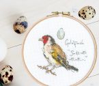 XMF7 Little Goldfinch Lifestyle