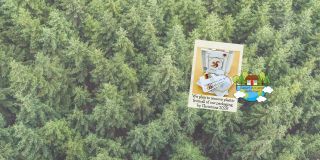 Plastic free banner 2