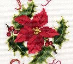 CDX31 Poinsettia Holly