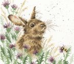 XHD30 The Meadow small