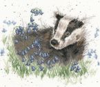 XHD31 Bluebell Wood small