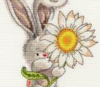 XBB1 Daisy small