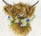 XHD42 Daisy Coo small