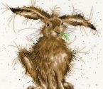 XHD49 Hare Brained small