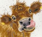 XHD48 Moo small