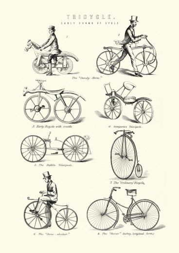 Bikes Medium