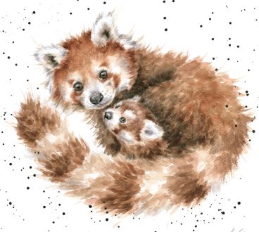 Red panda crop