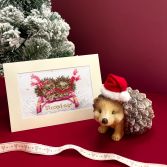 XMAS76 Sledgehogs Lifestyle