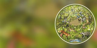 Website-Banner-4_2026-06-15-153044_dbxz.jpg